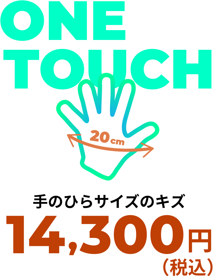 手のひらサイズのキズ 14,300円（税込）